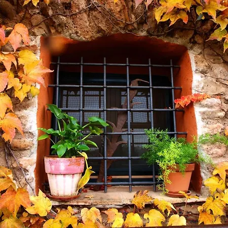 Guest house Nou De 3*